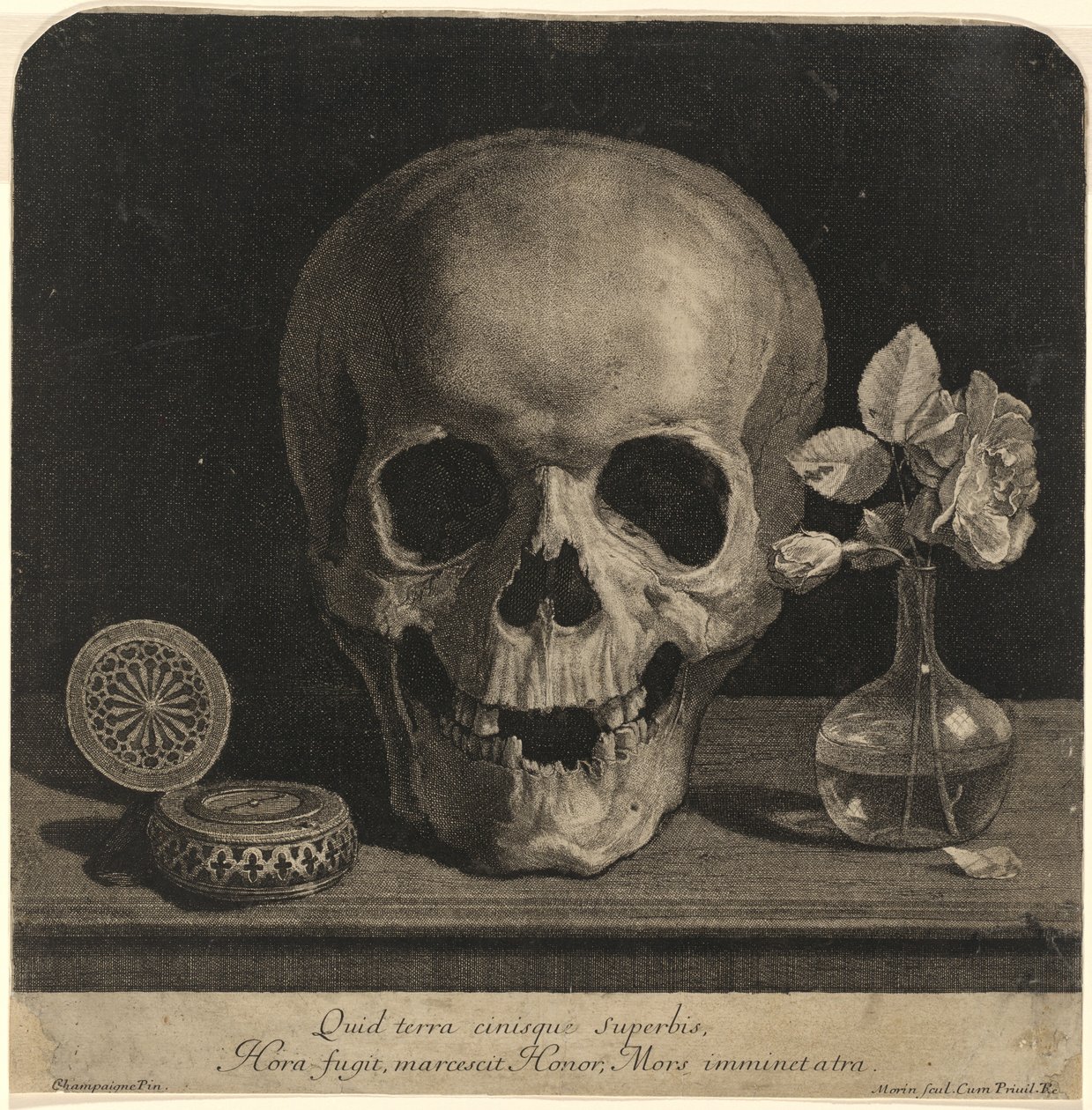 Stilleben med et kranium og en vase med roser af Jean Morin, after Philippe de Champaigne