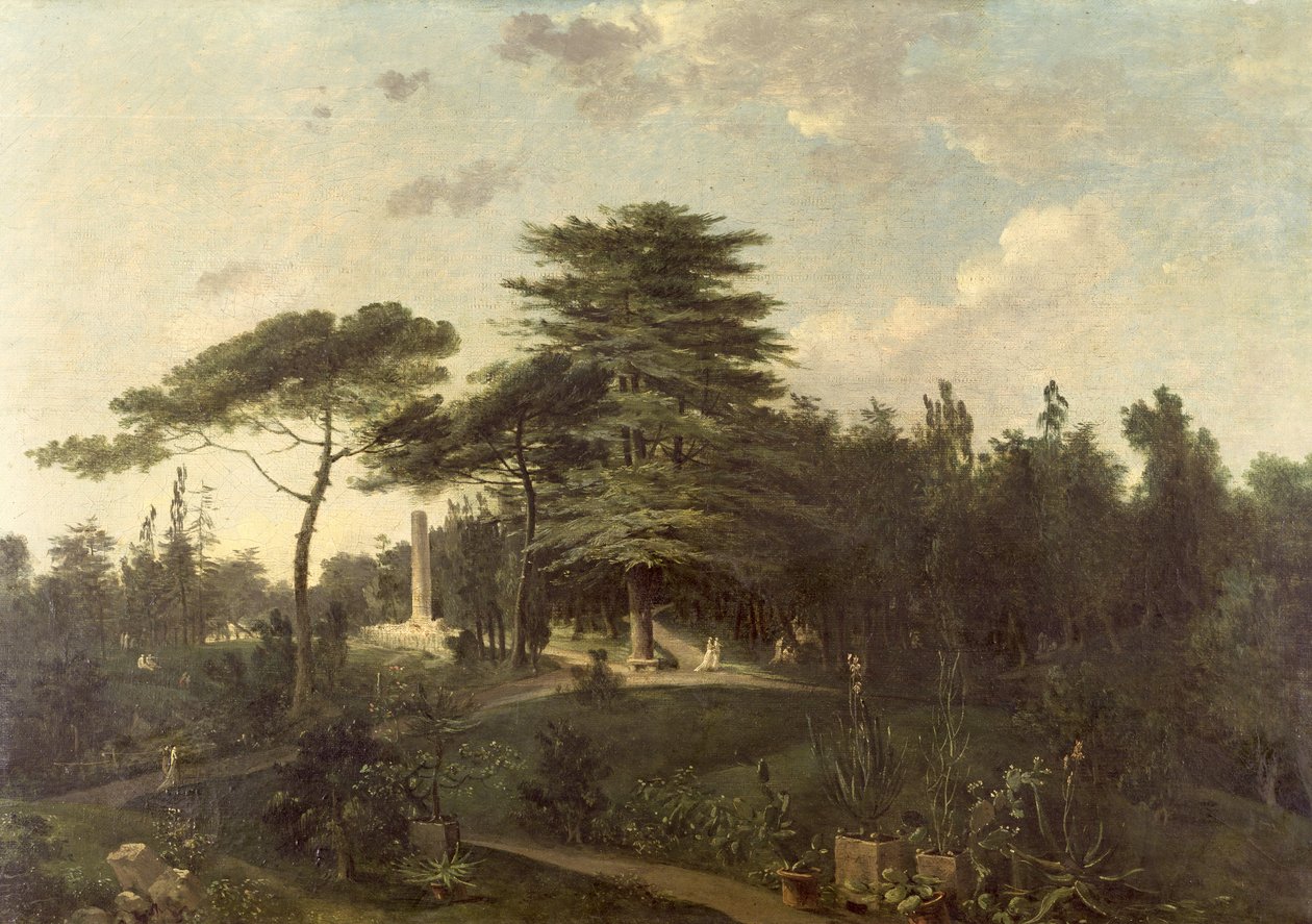 Libanons cedertræ i Jardin des Plantes af Jean Pierre Houel