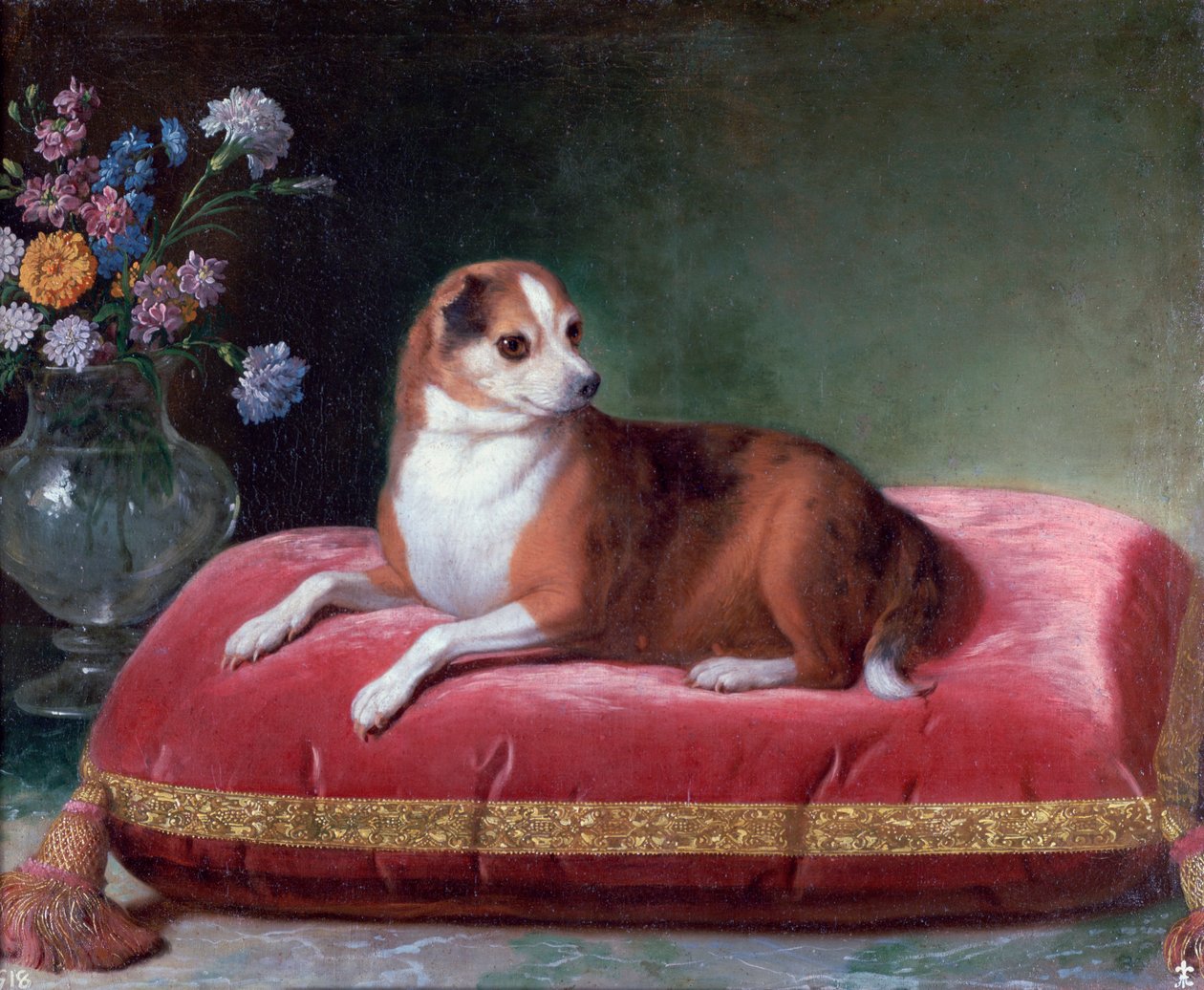 Tæven på en pude, c1694-1735 af Jean Ranc
