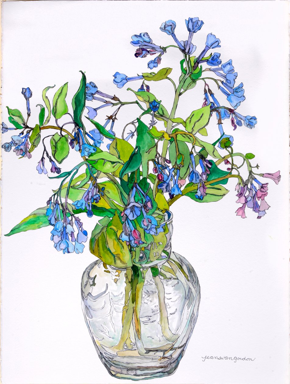 Virginia Blue Bells in Narrow Necked Vase, 2006 (akvarel og blæk på papir) af Jean Swan Gordon