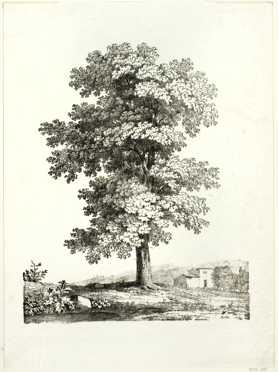 Undersøgelse af et træ af Jean Victor Bertin