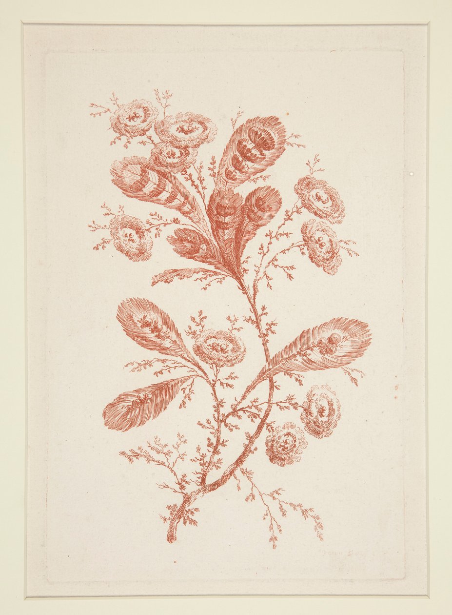 Uden titel (Ideelle blomster), fra et sæt på seks af Jeanne Deny