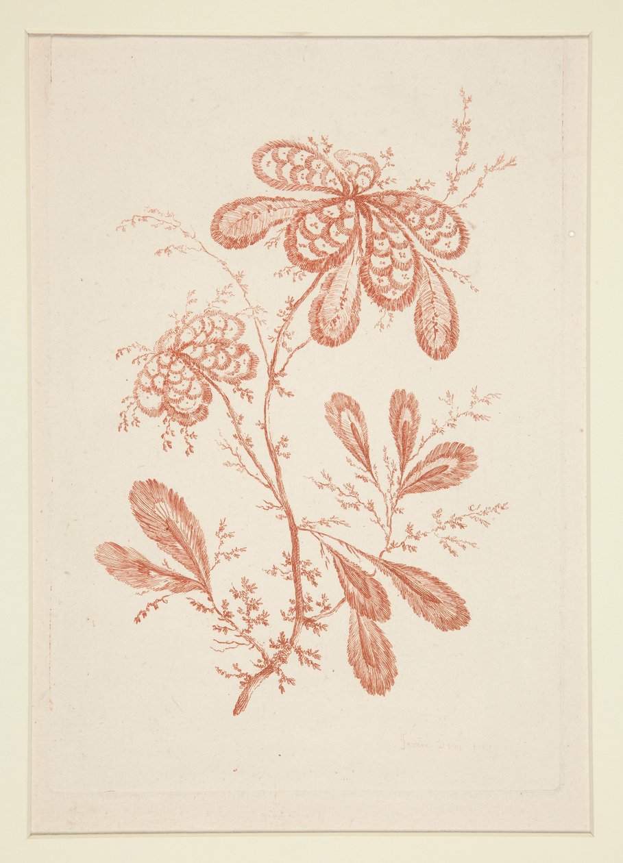 Uden titel (Ideelle blomster), fra et sæt på seks af Jeanne Deny