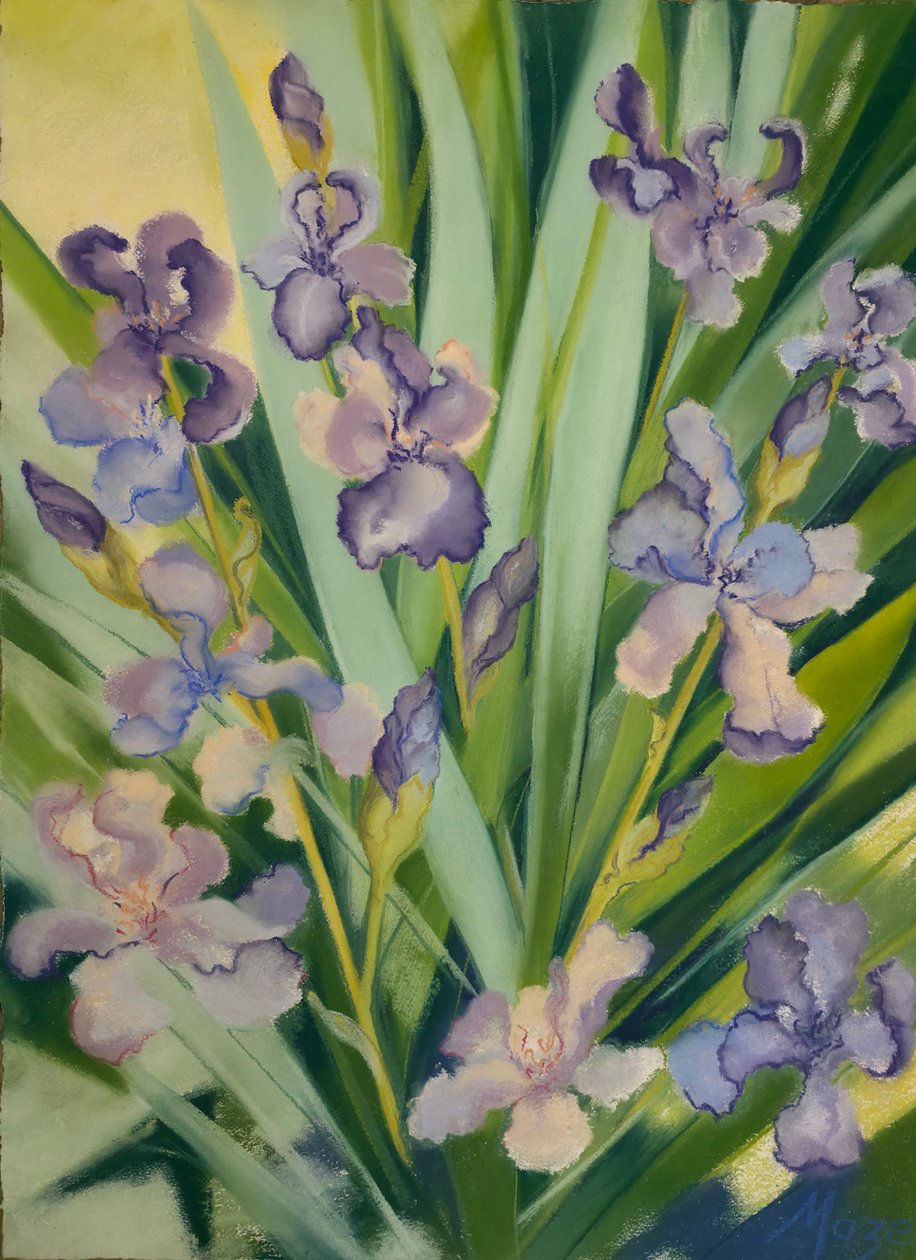 Iris i en kant, 2023 (pastel på papir) af Jeanne Maze