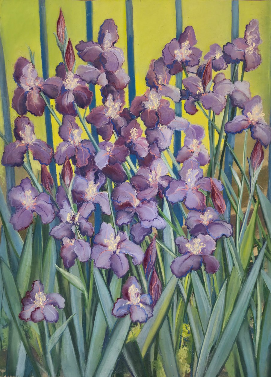 Purple Irises, 2023 (pastel på papir) af Jeanne Maze