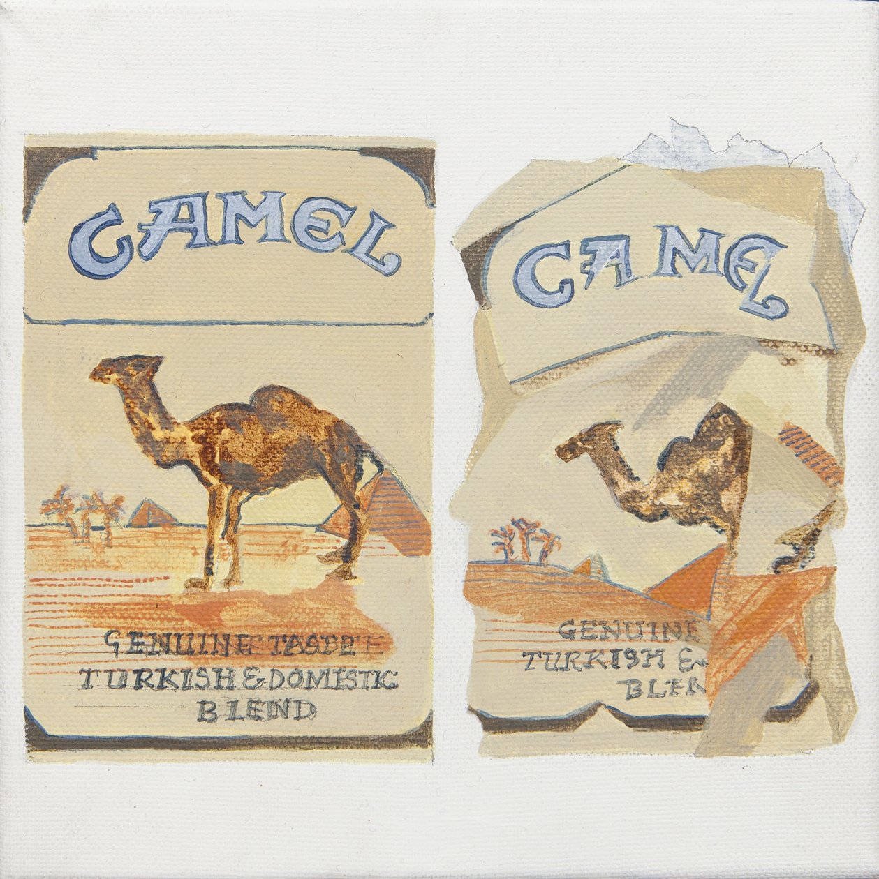 Camel-cigaretpakker af Jennifer Abbott