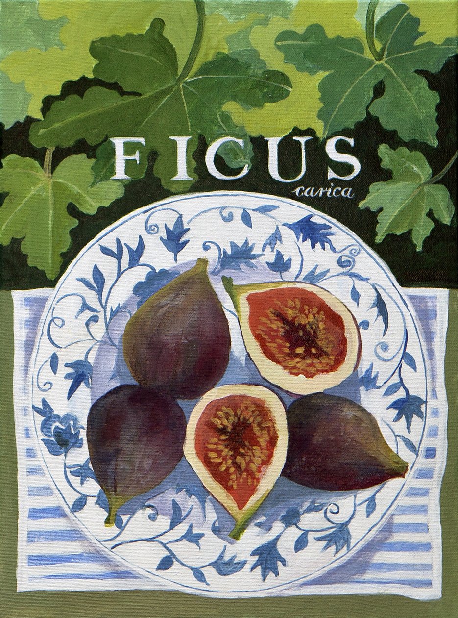 Fieus (figs), 2014 (akryl på lærred) af Jennifer Abbott