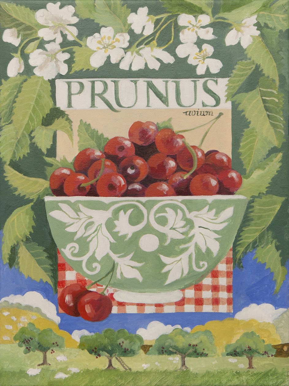 Prunus avium (akryl) af Jennifer Abbott