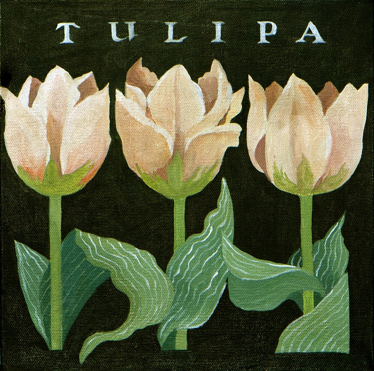 Tulipaner, 2013 (akryl på lærred) af Jennifer Abbott