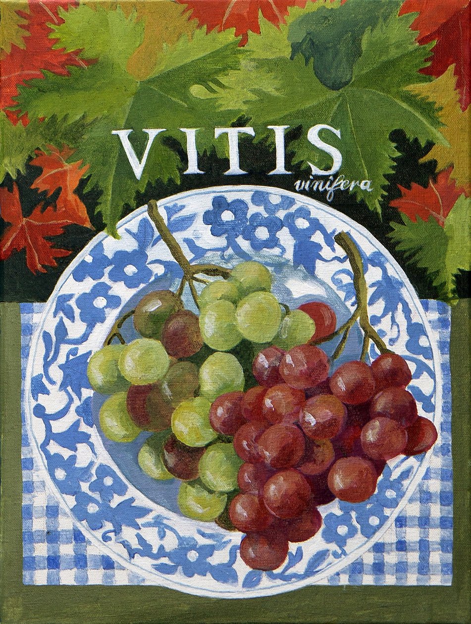 Vitus (druer), 2014 (akryl på lærred) af Jennifer Abbott