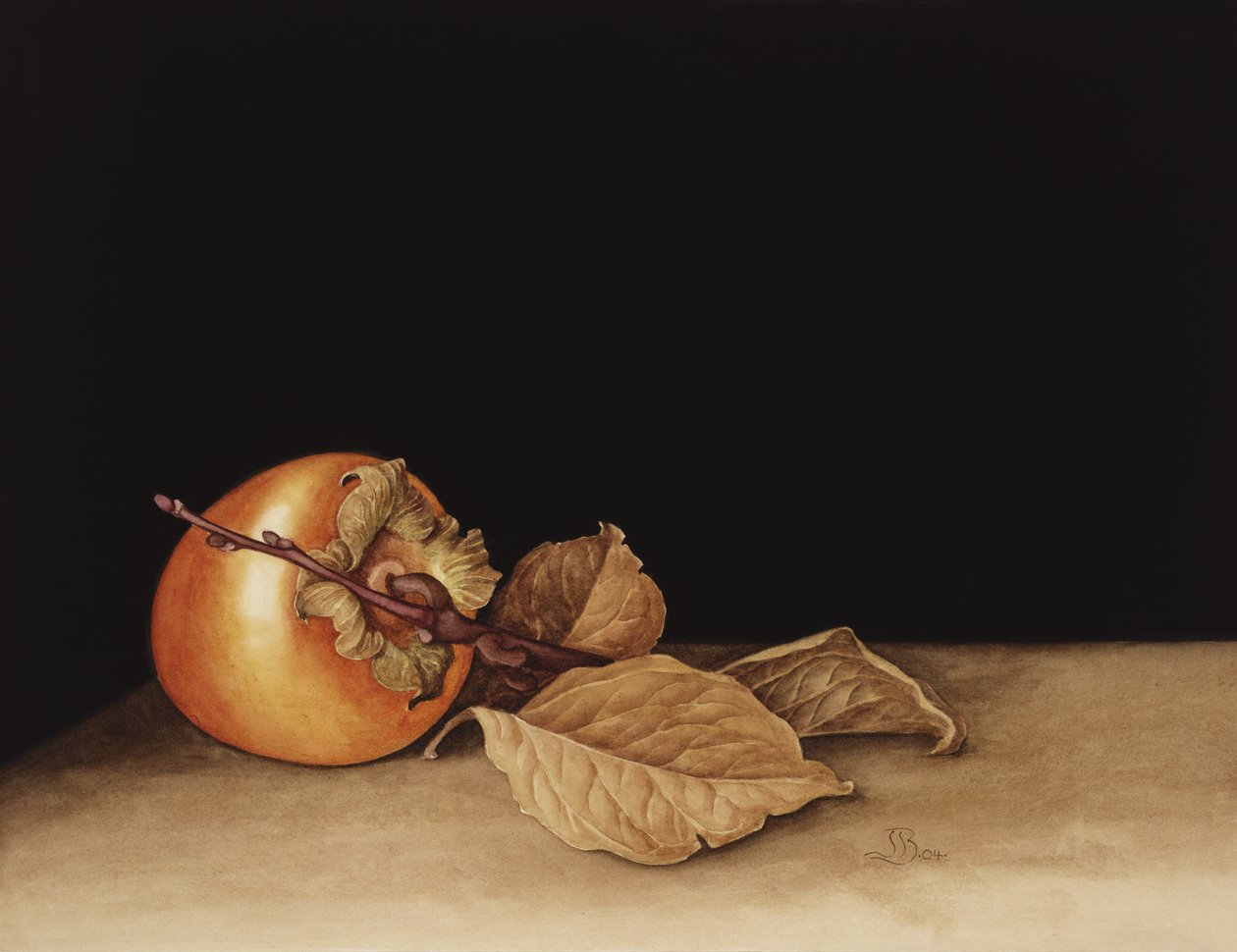 Persimmon, 2004 (wc på papir) af Jenny Barron