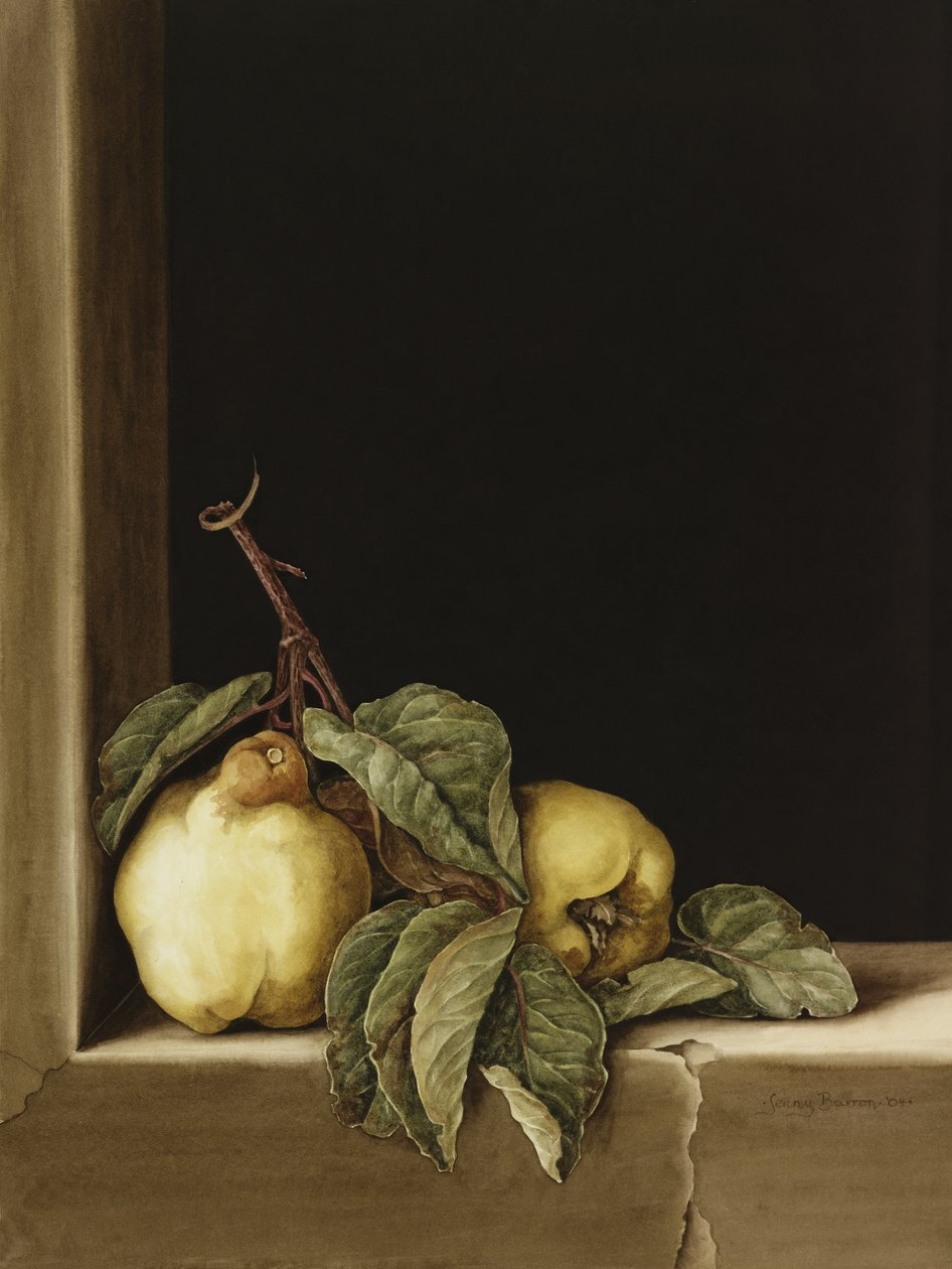 Quinces, 2005 (wc på papir) af Jenny Barron