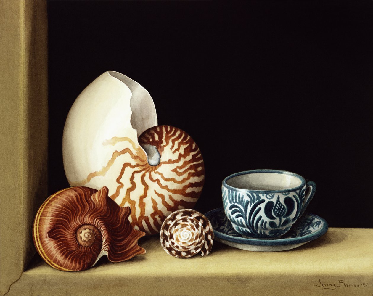 Stilleben med Nautilus, 1998 (wc på papir) af Jenny Barron