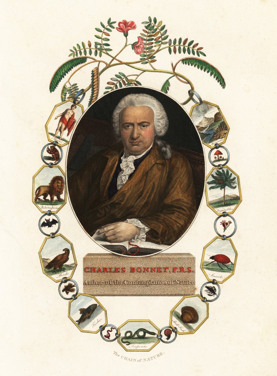 Portræt af Charles Bonnet, Genevanske naturforsker.1803 (gravering) af Jens Juel