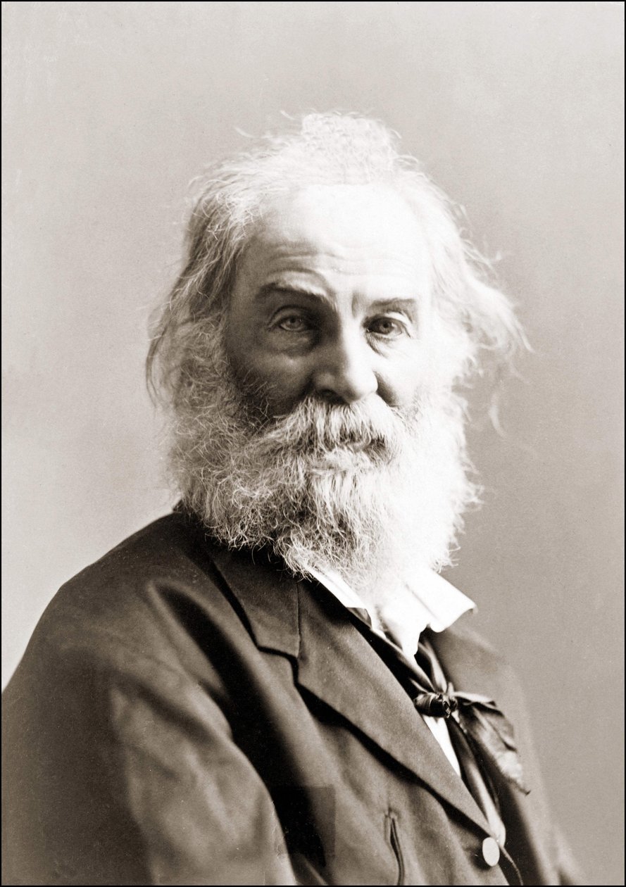 Portræt af Walt Whitman (1819 - 1892) af Gurney mellem 1880 og 1890. af Jeremiah Gurney