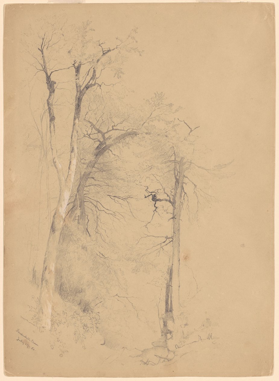 Kaaterskill nellike af Jervis McEntee