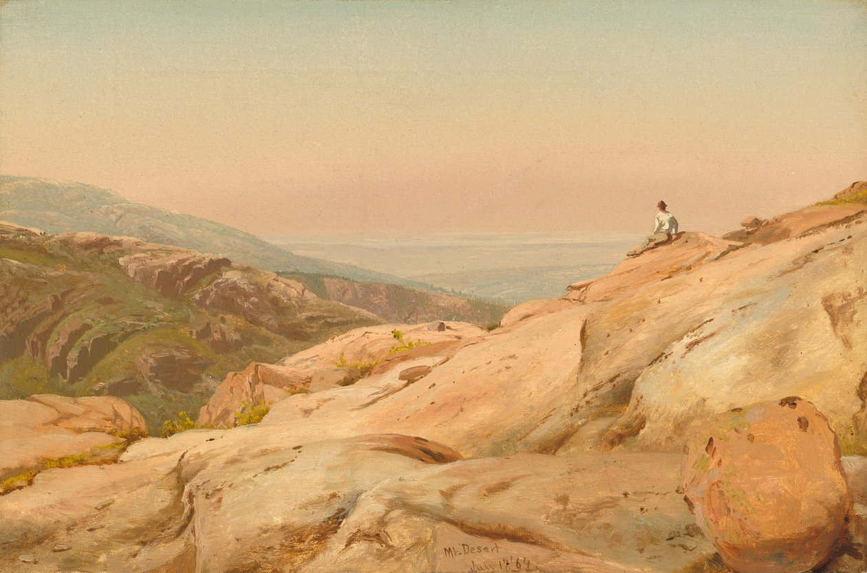 Mount Desert Island, Maine af Jervis McEntee