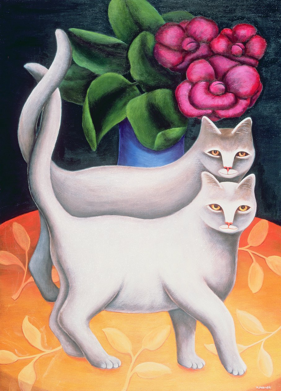 Tango af Jerzy Marek