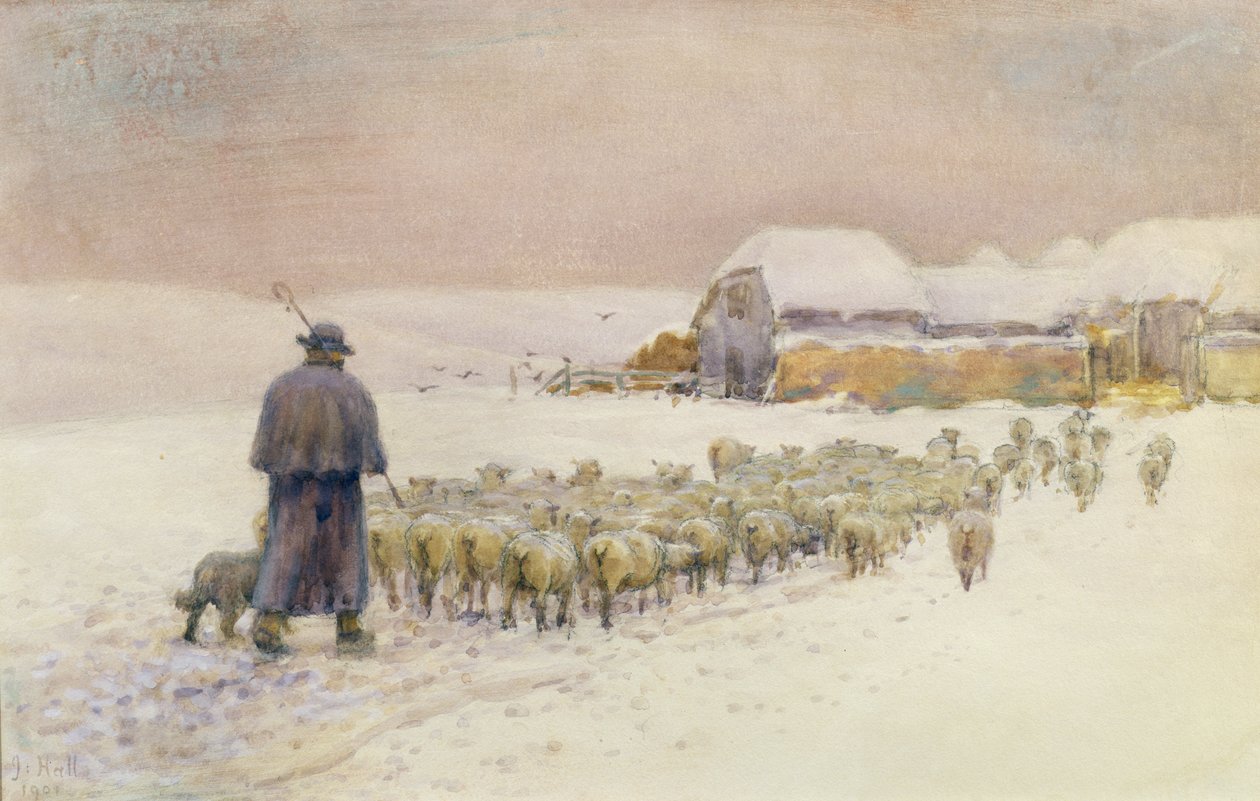 Indbringelse af flokken, 1901 af Jessie Hall