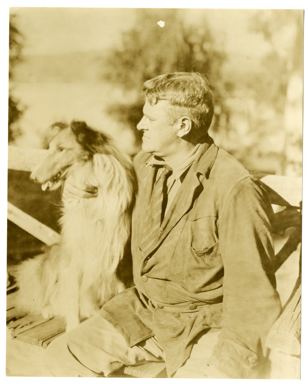 Albert Payson Terhune, forfatter, ca. 1916-28 (foto af gelatinesølv) af Jessie Tarbox Beals