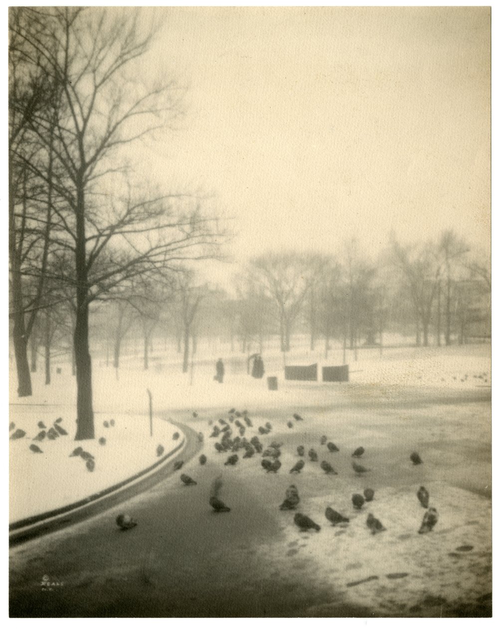 Boston Common, Boston, USA, ca. 1902-10 af Jessie Tarbox Beals