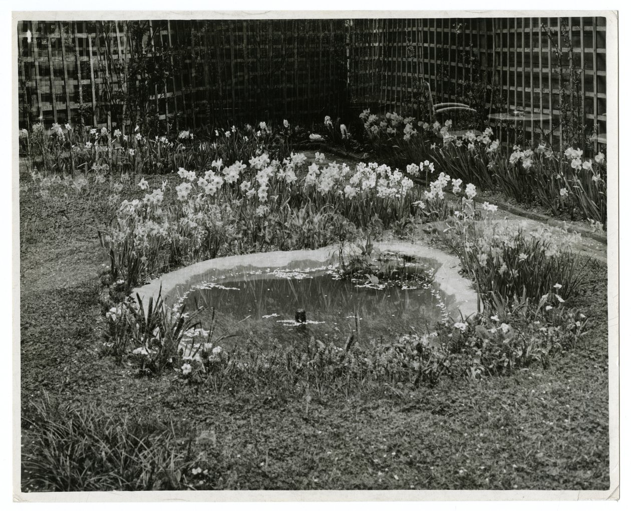 Garden of Mr & Mrs Wm H Wells 265 W 11th St, New York, USA af Jessie Tarbox Beals