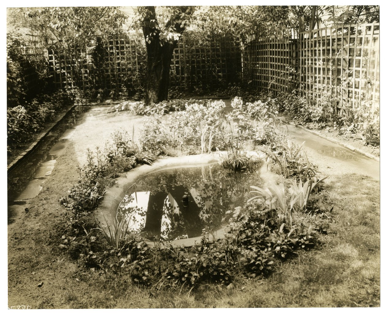 Garden of Mrs W H Wells 265 W 11th, Greenwich Village, New York, USA, ca. 1936-37 (foto af gelatinesølv) af Jessie Tarbox Beals
