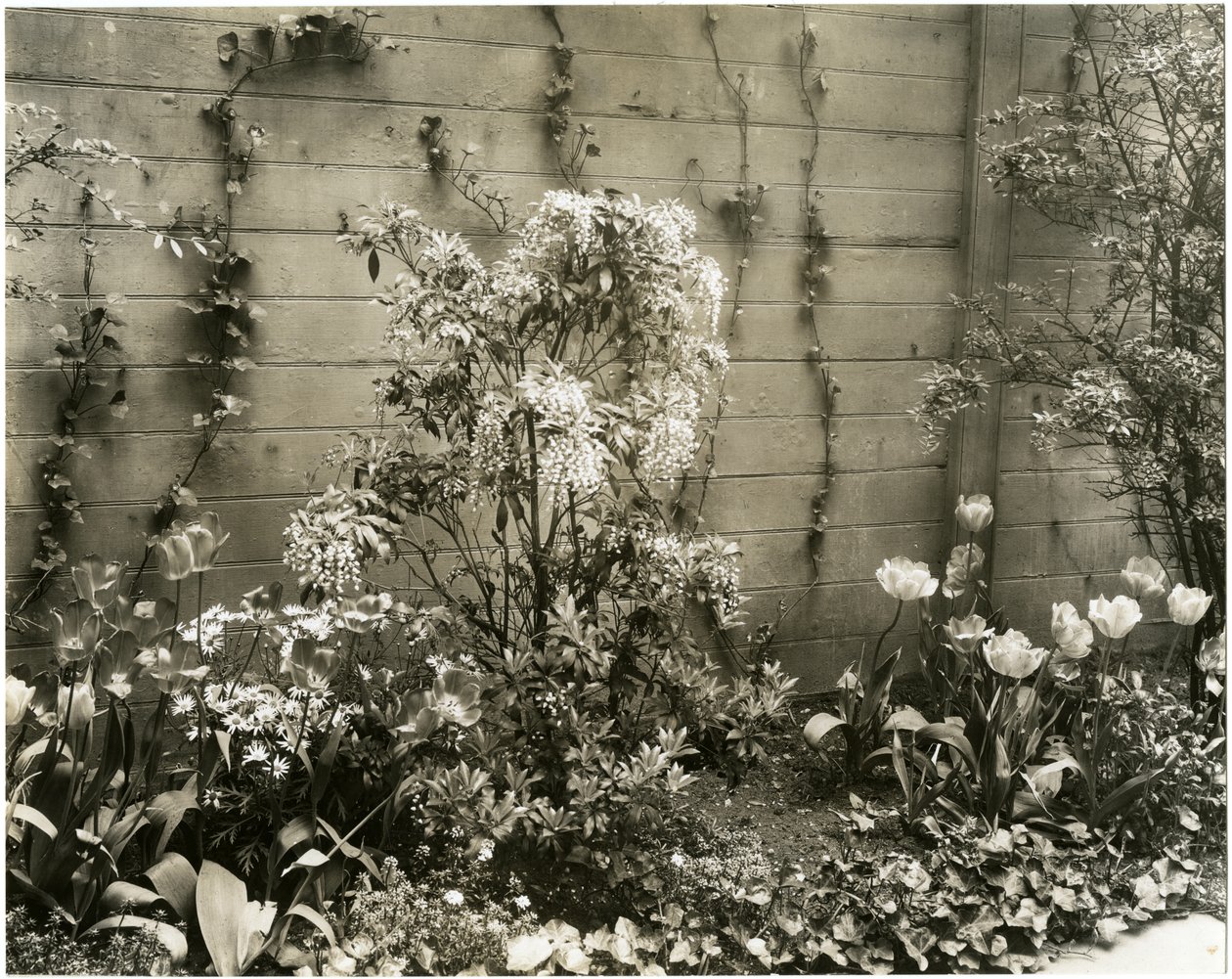 Mr & Mrs John Morgan, 39 W 11 St Center Andromeda-fabrik, Greenwich Village, New York, USA, ca. 1939-40 (foto af gelatinesølv) af Jessie Tarbox Beals