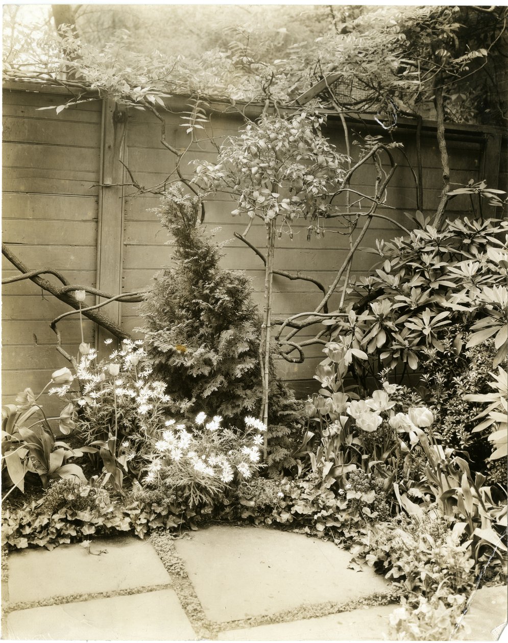 Hr. og fru John Morgan, 39 W 11 St, Greenwich Village, New York, USA, ca. 1939-40 (gelatinsølvfoto) af Jessie Tarbox Beals