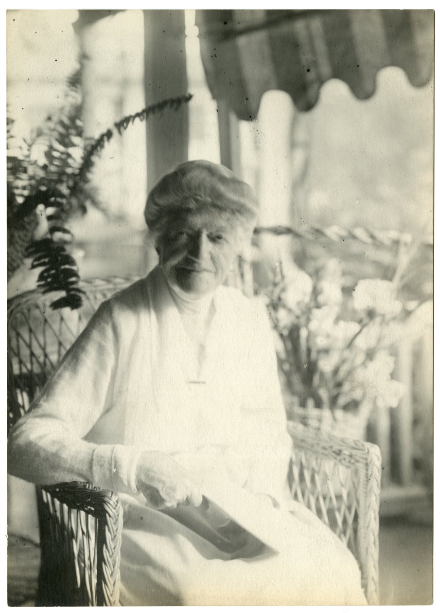 Mrs L D James af Williamsburg Massachusetts, søster til Marshall Field, ca. 1905-28 (foto af gelatine sølv) af Jessie Tarbox Beals