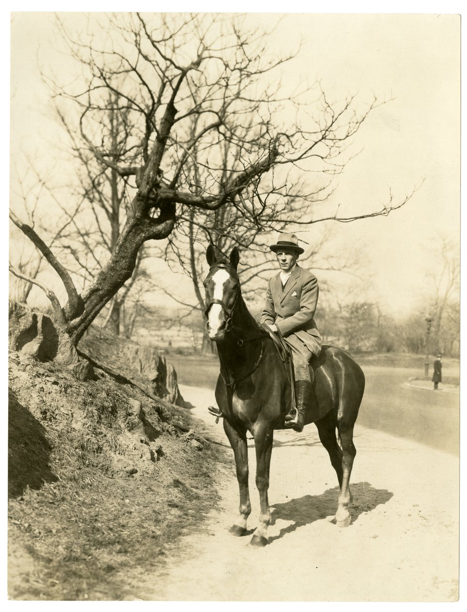 Roland Young, ca. 1905-27 (foto af gelatinesølv) af Jessie Tarbox Beals