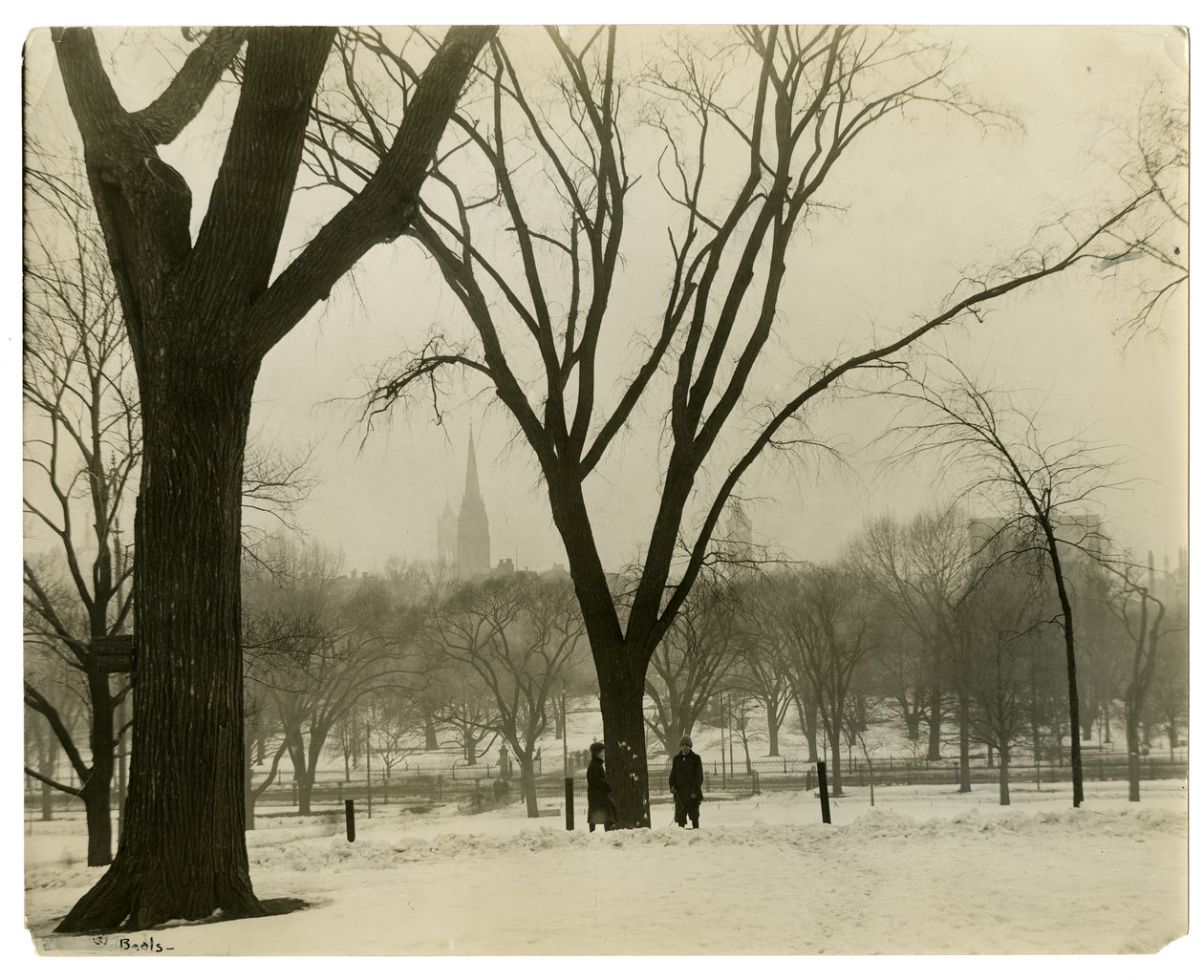 The Common, Boston, USA, ca. 1902-10 (foto af gelatinesølv) af Jessie Tarbox Beals