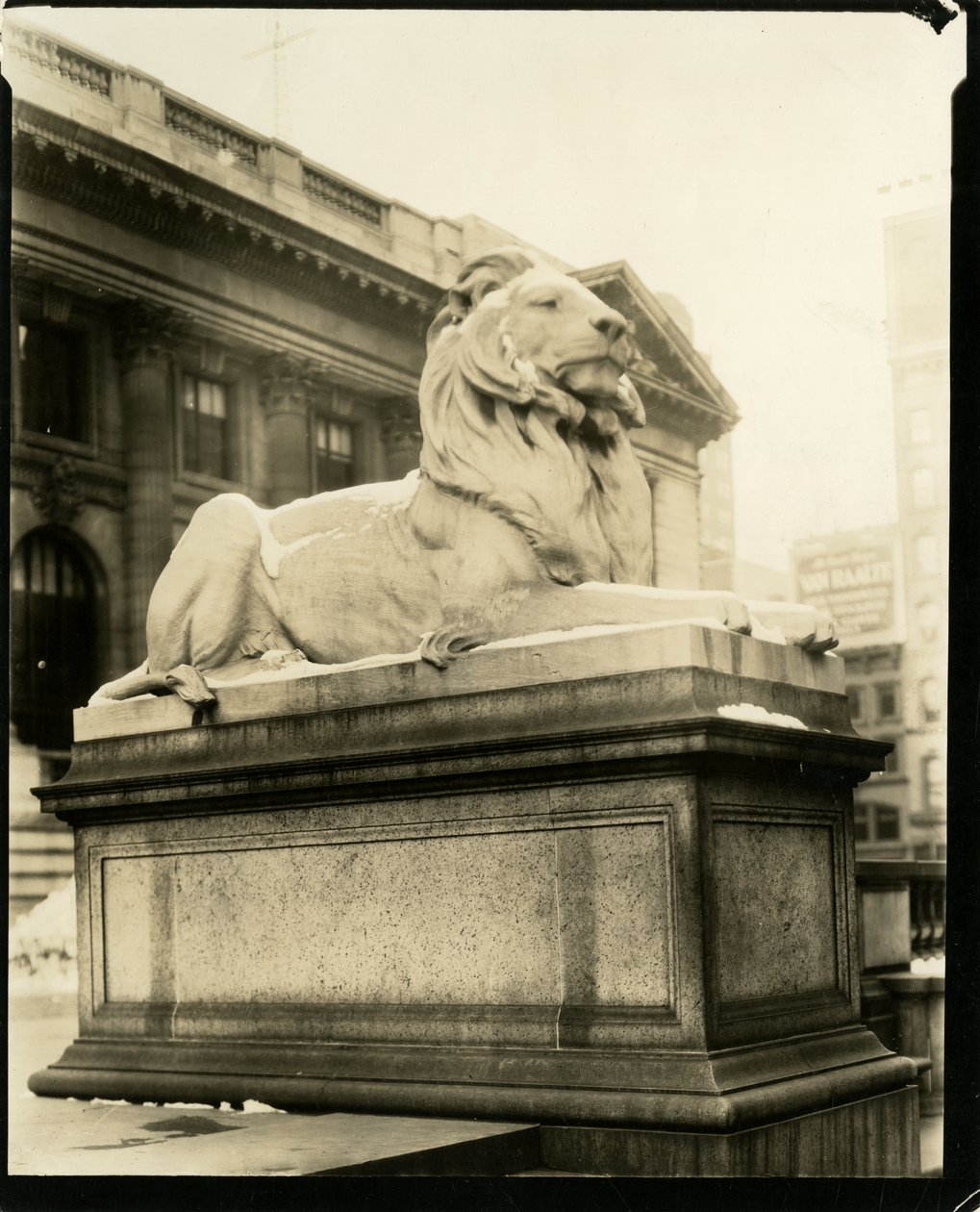 Den hovmodige løve foran biblioteket Han forstår Gertrude Steinish, New York, USA, ca. 1905-40 (foto af gelatinesølv) af Jessie Tarbox Beals
