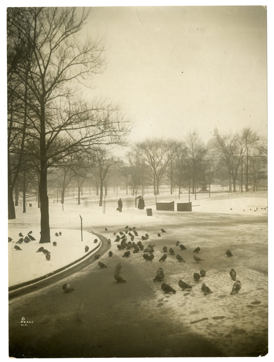 Usædvanligt koldt i Common, Boston, USA, ca. 1902-10 (gelatine sølv foto) af Jessie Tarbox Beals