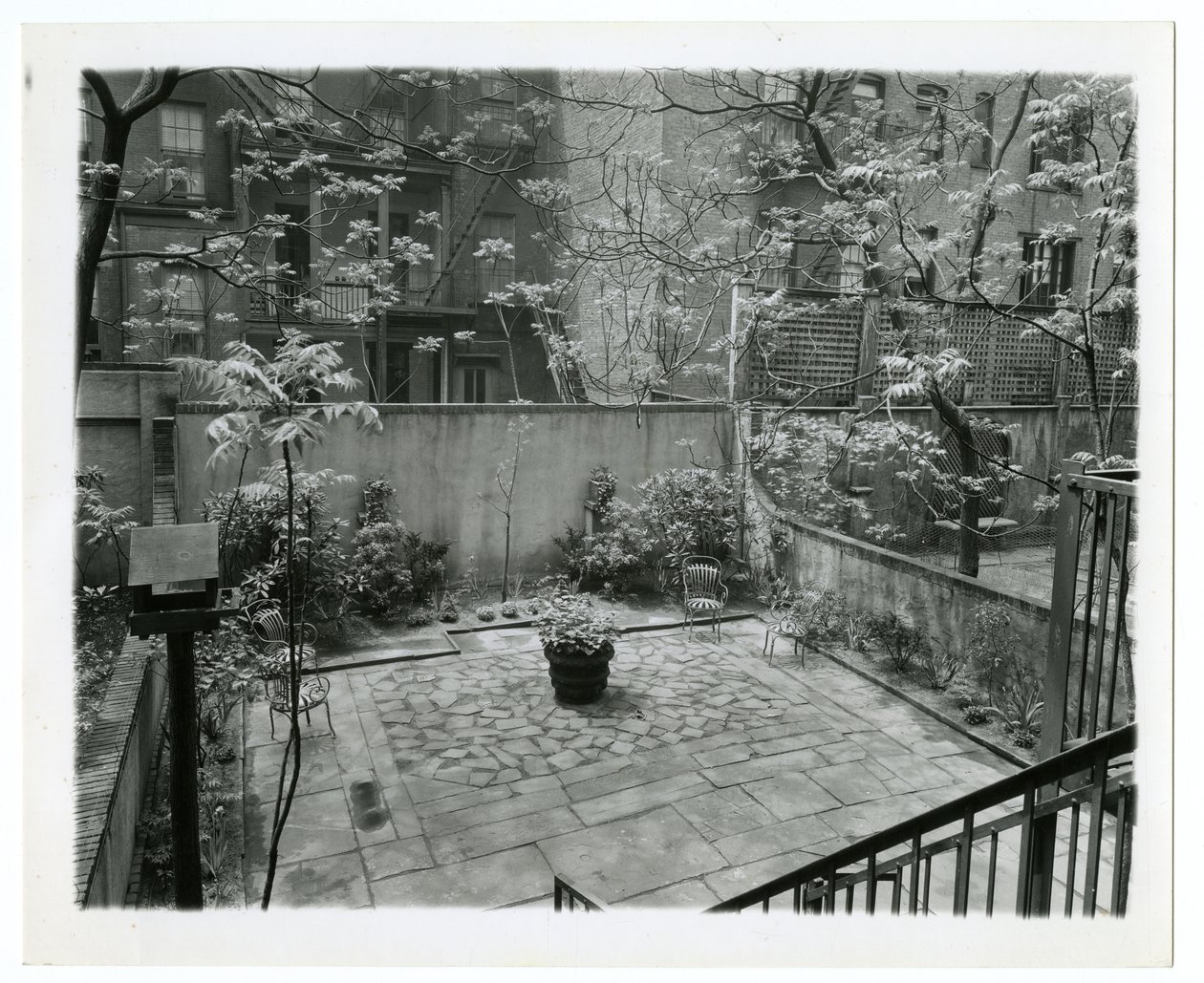 gårdhave på bagsiden med fuglehus, New York, USA, ca. 1905-40 (foto af gelatinesølv) af Jessie Tarbox Beals
