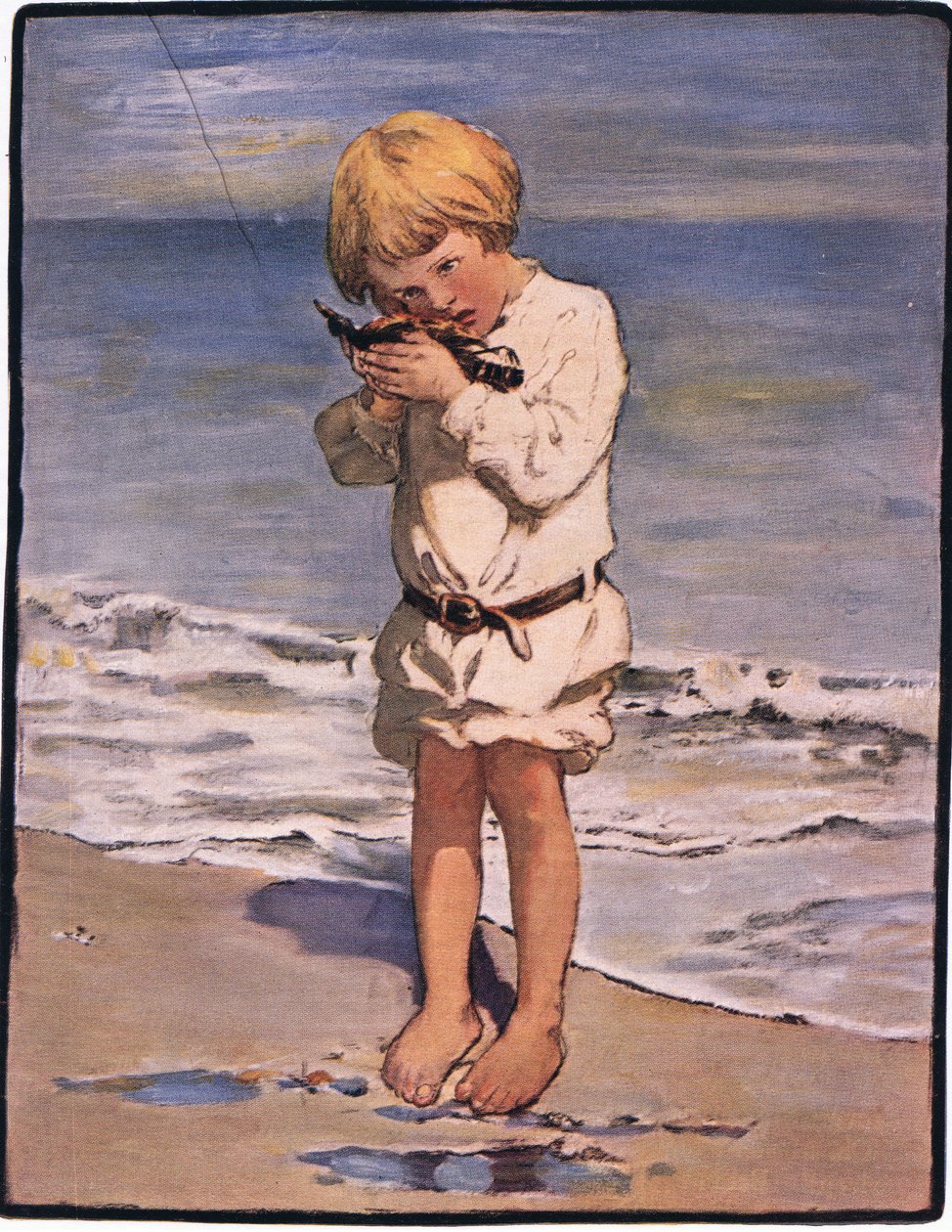 Billy boys opdagelse var en måge med en skadet vinge (farve litho) af Jessie Willcox Smith