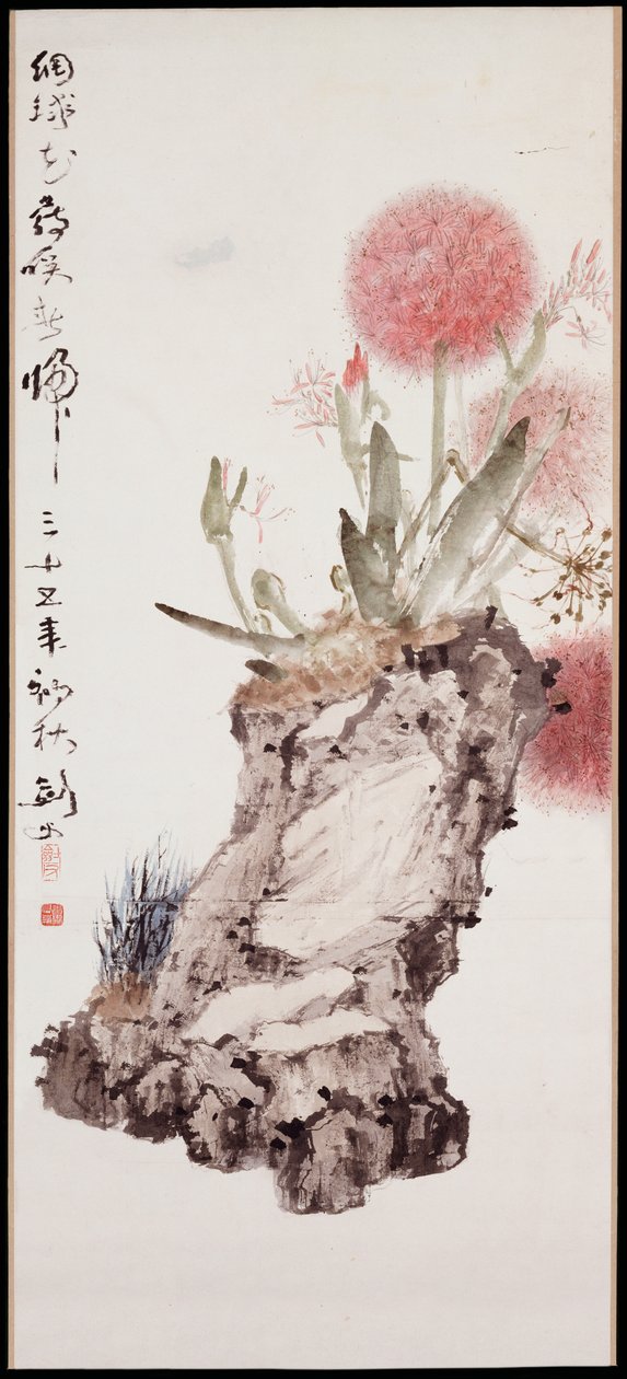 Hortensia og Rock af Jianfu Gao