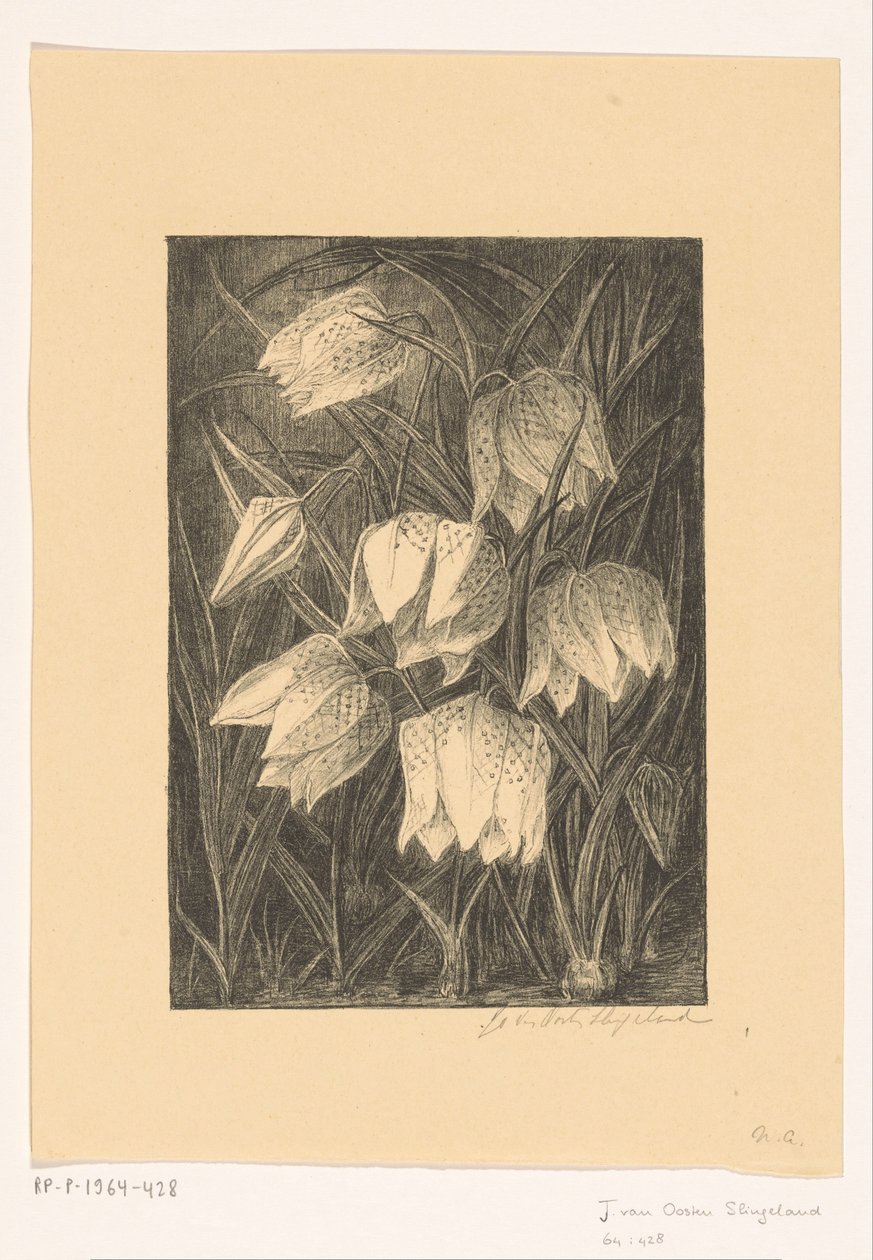 Vibe blomster af Jo van Oosten Slingeland (signed by artist)