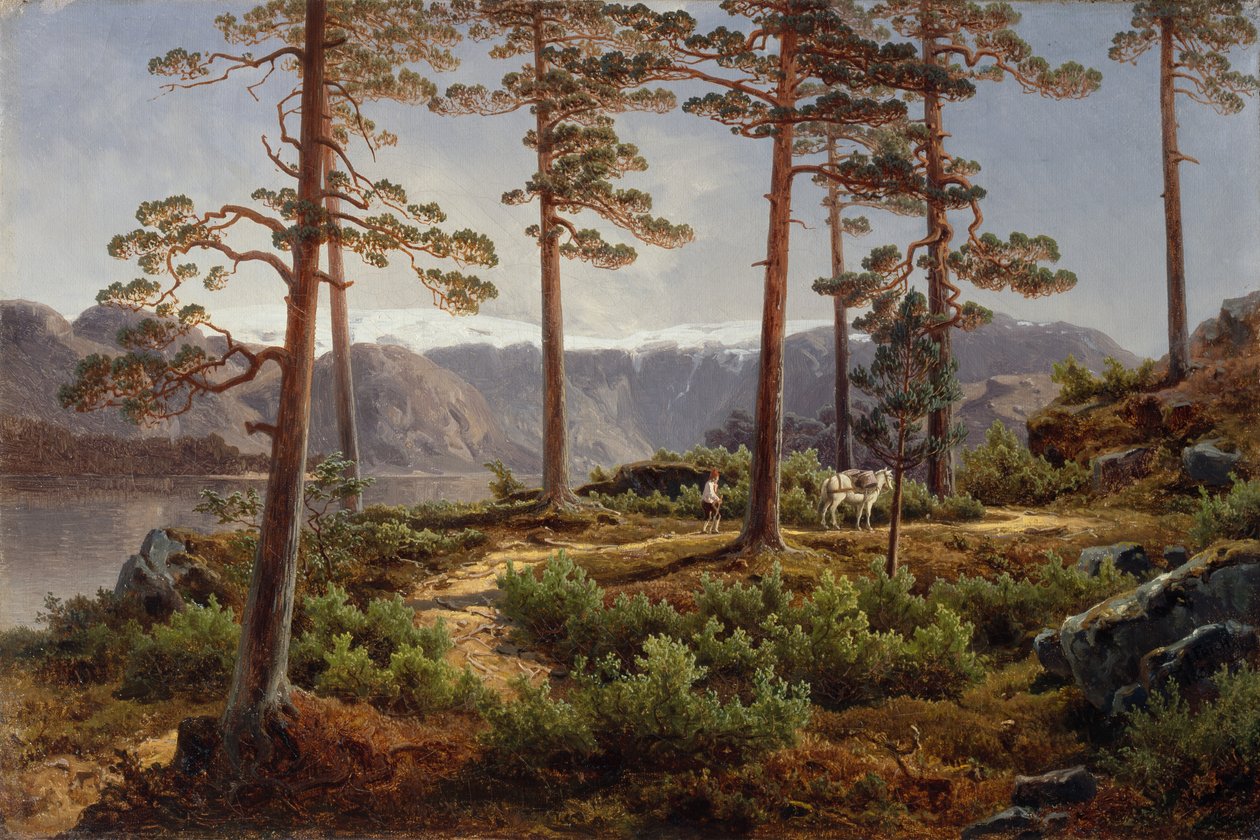 Hardanger af Joachim Frich
