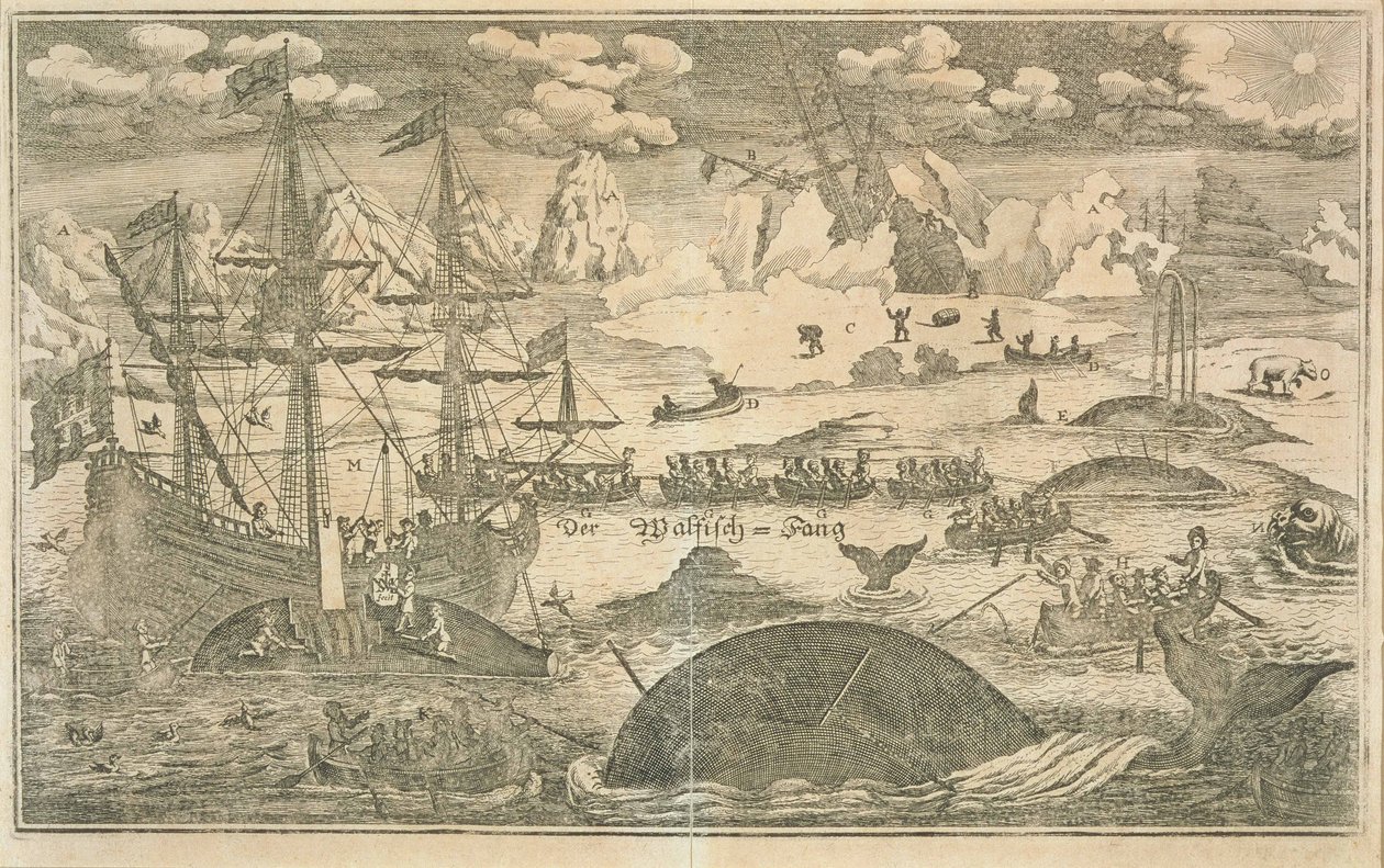 Fiskeriet efter hvaler af Joachim Wichmann