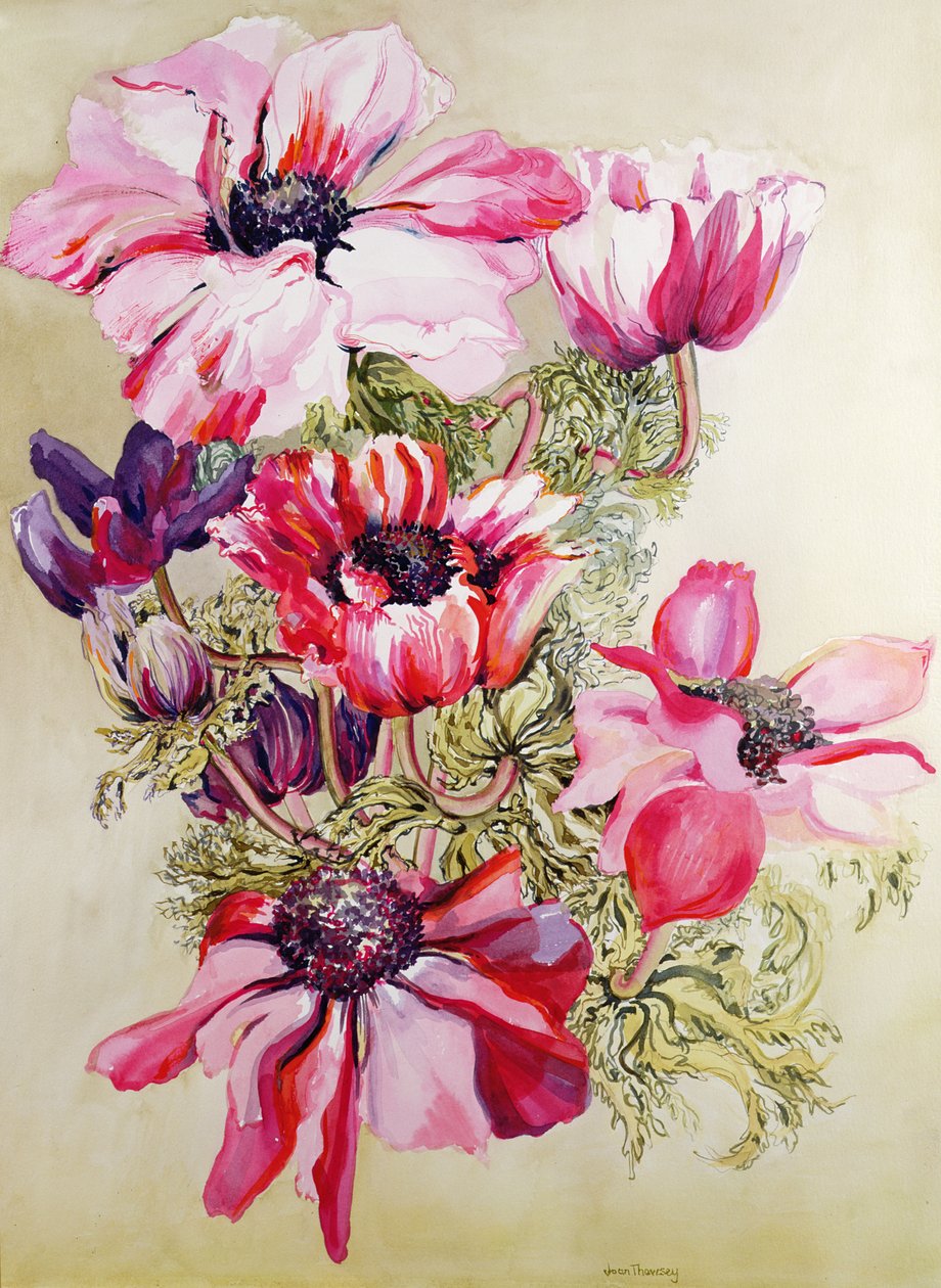 Anemoner af Joan Thewsey