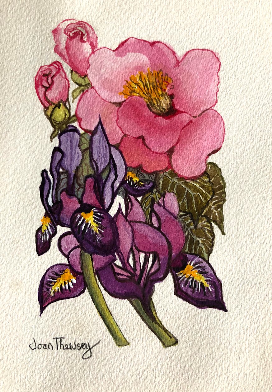 Camellia og hollandske Iris, af Joan Thewsey