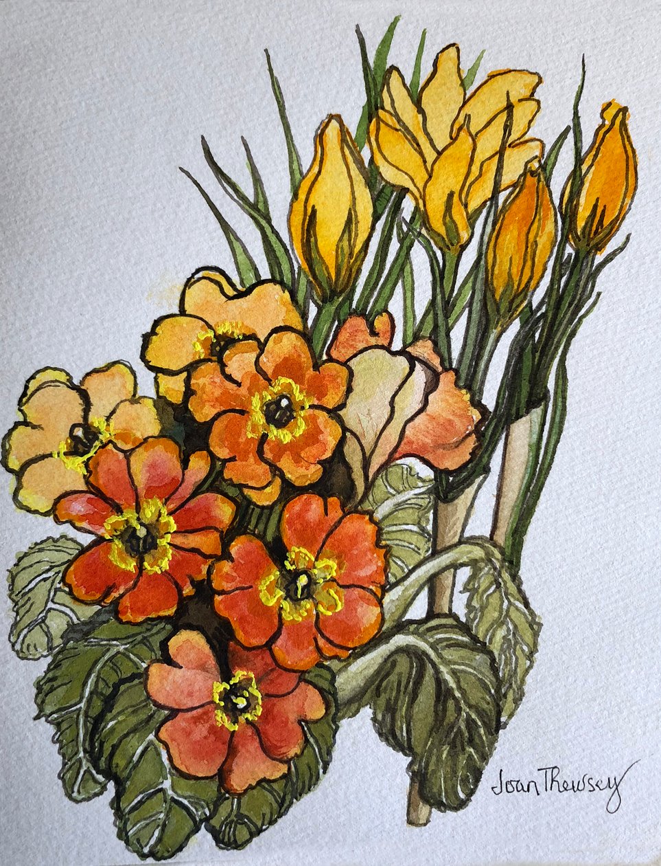 krokus og primula, af Joan Thewsey