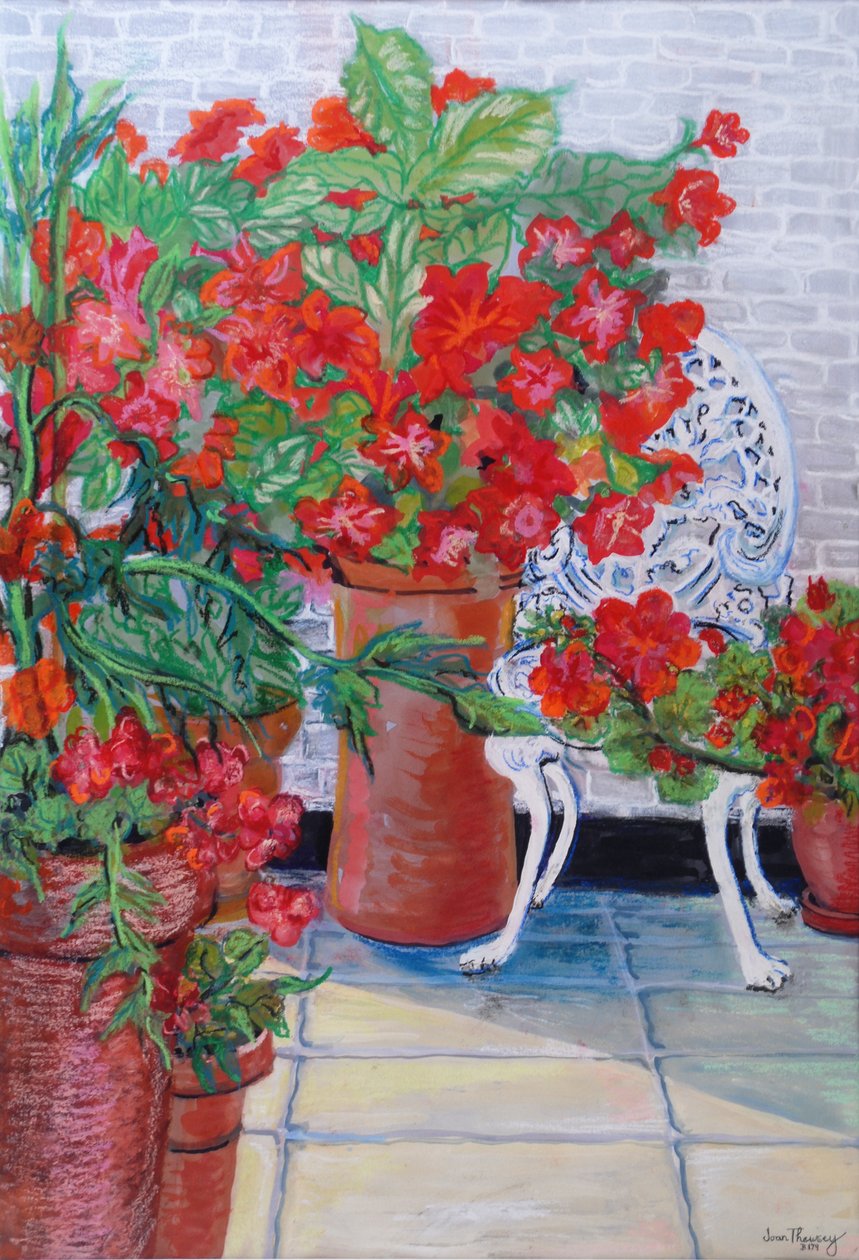 Pelargonier og petuniaer på terrassen, 2011, (Gouache på papir) af Joan Thewsey