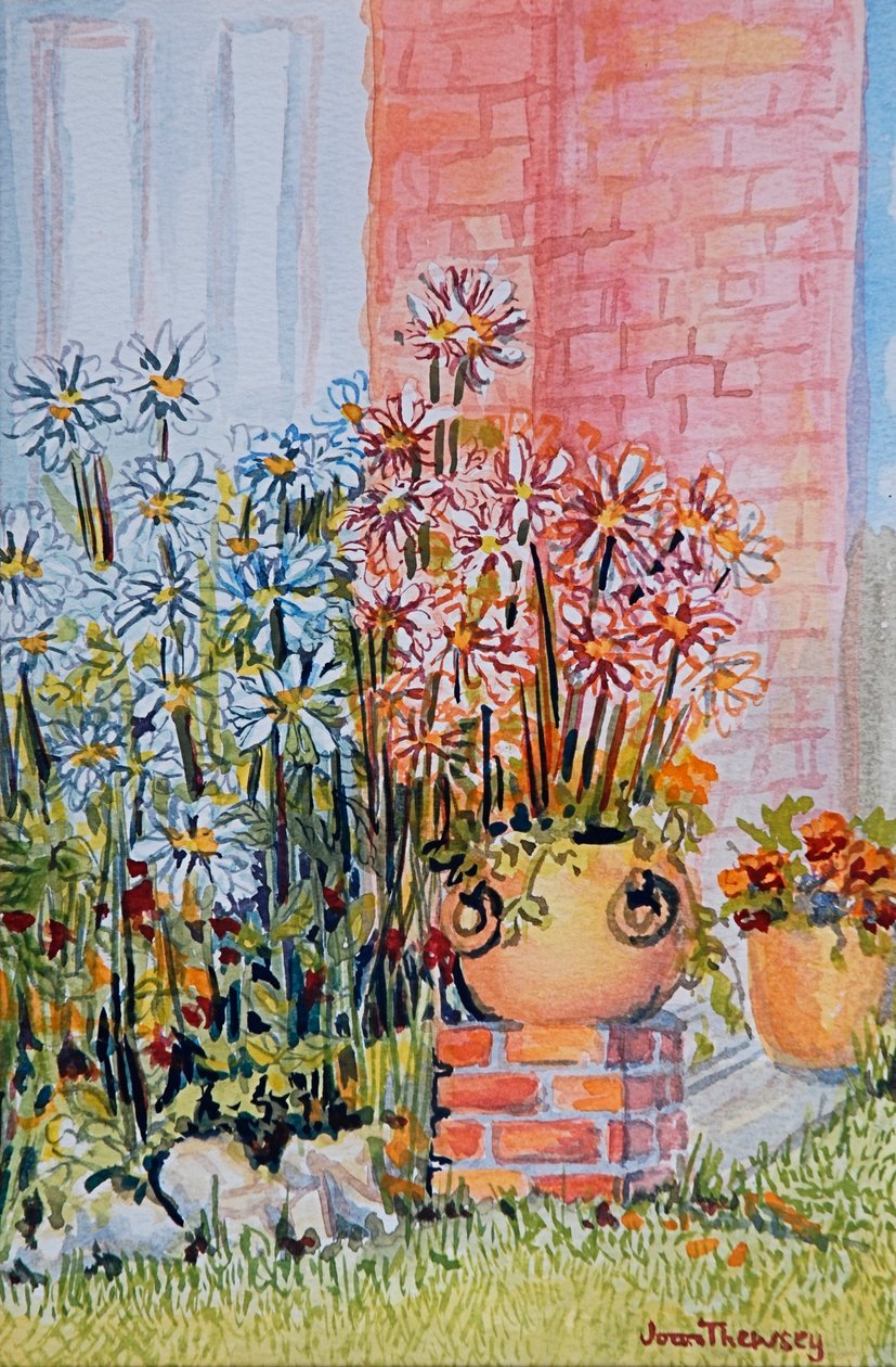Marguerites i Cottage Garden af Joan Thewsey