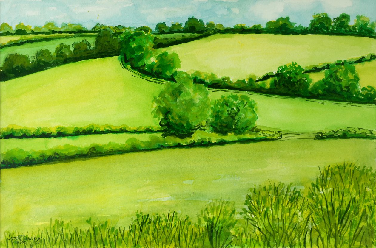 Sommerlandskab, 2010, akvarel af Joan Thewsey