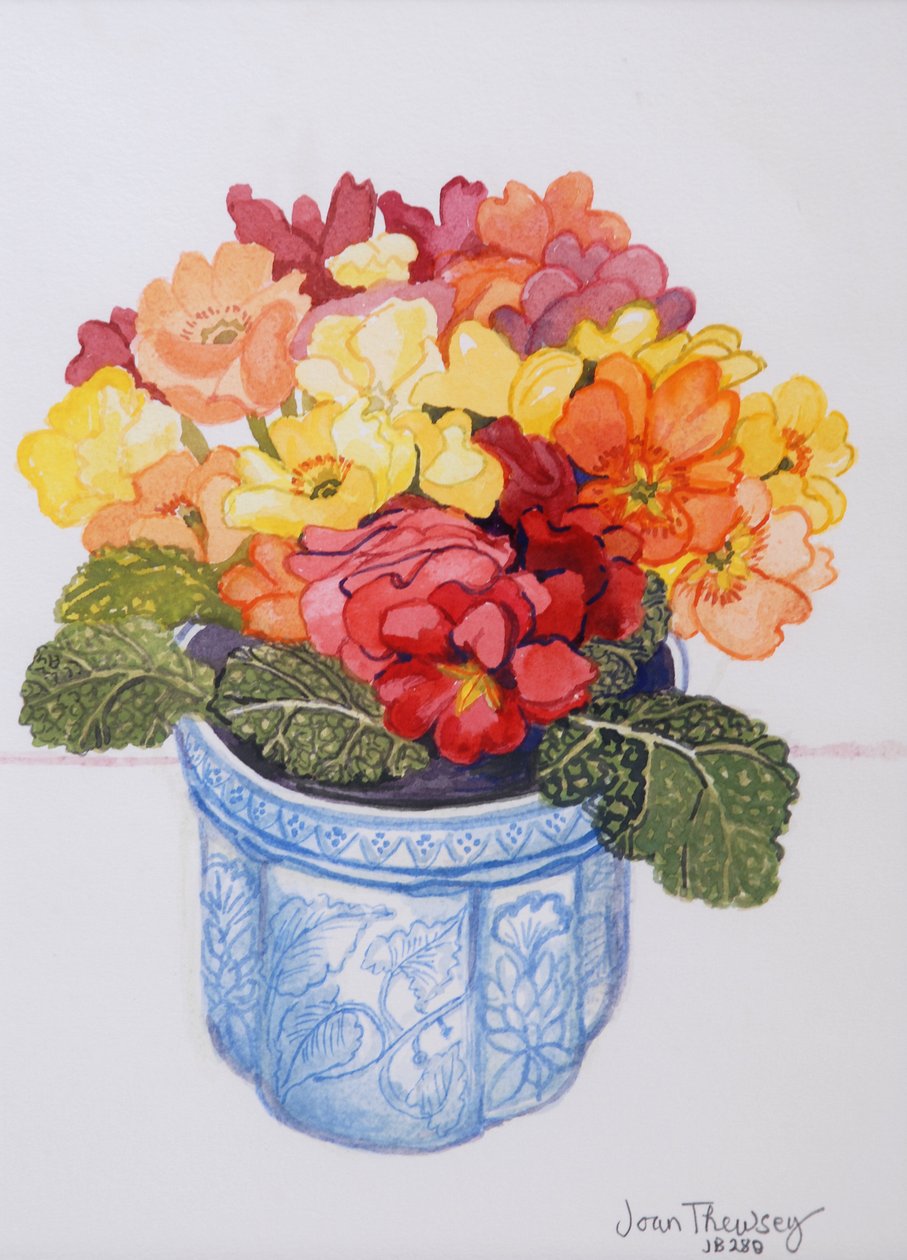 The Multicoloured Primrose 2011 (akvarel på papir) af Joan Thewsey