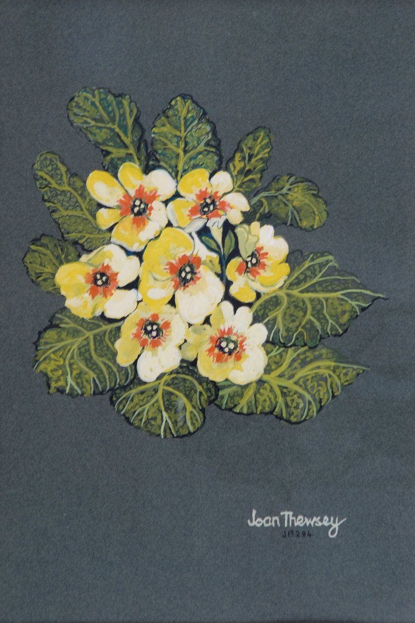 The Yellow Primrose 2012 (gouache på ingres papir) af Joan Thewsey