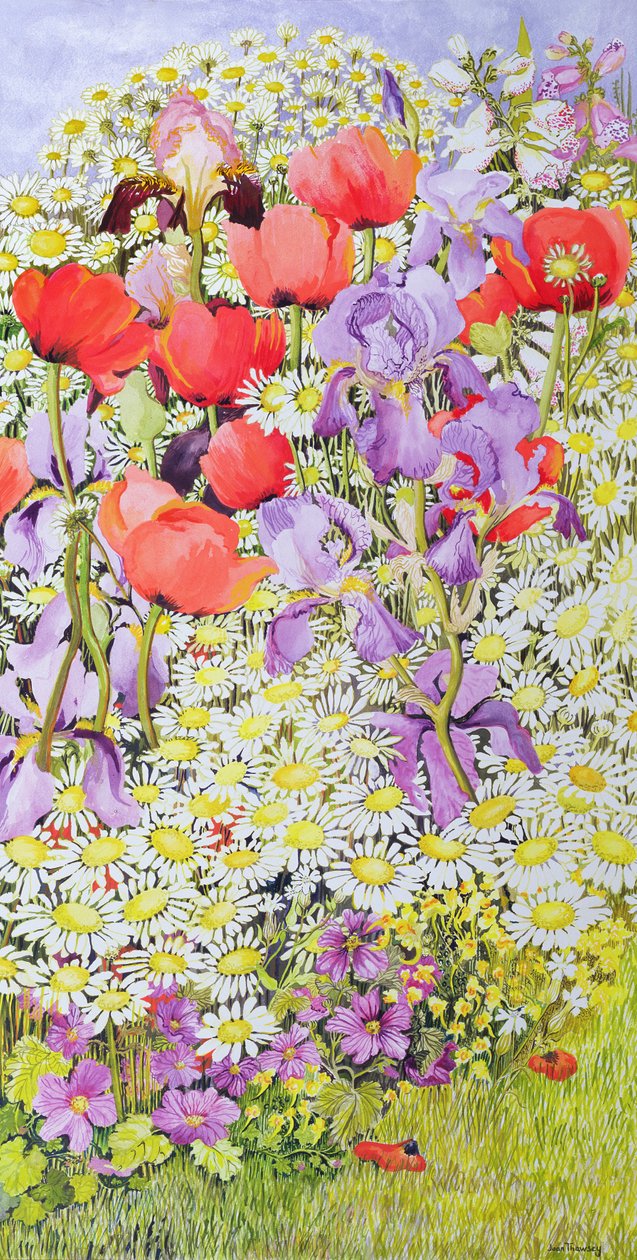 Bevaring af vilde blomster; Havekant af Joan Thewsey