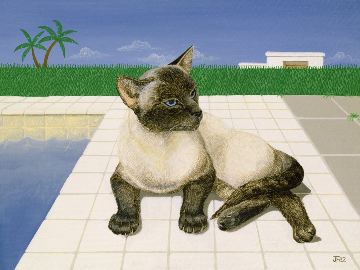 Siameser kat ved en swimmingpool af Joan Freestone